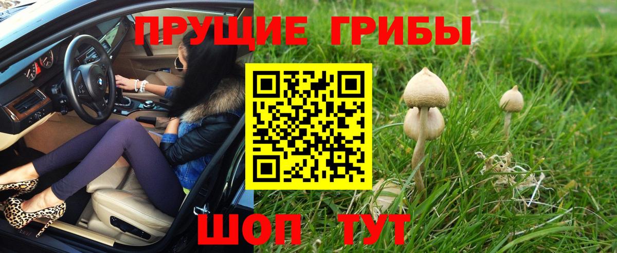 Шахты  Псилоцибиновые грибы MAGIC MUSHROOMS  Вход с VPN 